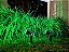 Refletor Ecoforce Solar 6 Led 10x Mais Forte Verde Spot Jardim Chão Parede Luminária - Imagem 10