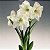 Marcador de Amarilis 2 - 142M - Flexarte - Imagem 2