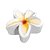 Molde  Special Edition 1000 ROXO Flor Jasmim 3,7cm Plumeria - Imagem 2