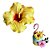 Molde de  Silicone 545 - Marcador de Hibisco CD - Imagem 3