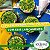 Confeitos Grageas Verde e Amarelo 80g - Iceberg Chef - Imagem 7