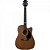 Violão Giannini GF1D CEQ Eletroacústico Aço Walnut Satin Satin - Imagem 1