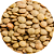 LENTILHA CANADENSE 500G - Imagem 1