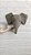 Cabeça de Elefante Decoração Infantil Cinza - Imagem 3
