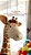 Cabeça Girafa Decoração Infantil - Imagem 5