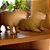 ESCULTURA CAPIVARA EM POLIRRESINA - Imagem 3