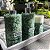 Trio Lavabo - Quartzo Verde - Imagem 3