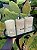 Trio Lavabo - Cristal de Quartzo - Imagem 3