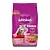 Ração Whiskas Premium Filhotes Carne e Leite 900g - Imagem 1