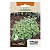 Sementes de Orégano Tradicional Topseed Garden Único - Imagem 1