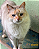 Gatita - Imagem 1