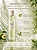 Beauty of Joseon Green Plum Refreshing Toner AHA + BHA - Tônico Facial Coreano Renovador e Controle de Oleosidade - Imagem 3