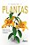Livro Plantas: Biologia Sensorial, Comunicacao, Memoria e Inteligencia - Melo - Appris - Imagem 1