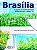 Livro Brasilia: o Desafio da Sustentabilidade Ambiental para o Seculo Xxi - Camargo - Imagem 1