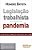 Livro Legislacao Trabalhista em Tempos de Pandemia - Batista - Imagem 1