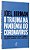 Livro Trauma Na Pandemia do Coronavirus, O: Suas Dimensoes Politicas, Sociais, ec - Birman - Imagem 1