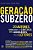 Livro Geracao Subzero: 20 Autores Congelados Pela Critica, Mas Adorados Pelos Lei - Pena - Imagem 1