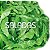 Livro Saladas - 50 das Melhores Receitas - Academia Barilla - Imagem 1