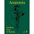 Livro Anatomia Estudo Regional do Corpo Humano: Gardner  Guanabara - Imagem 1