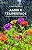 Livro Amor e Tempestade: Superando as Reviravoltas da Vida - Santos - Imagem 1