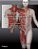 Livro Anatomia para o Cirurgião Plástico  Gomes - Imagem 1