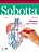 Livro Sobotta Anatomia para Colorir - Imagem 1