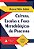 Livro Cultura, Escolas e Fases Metodologicas do Processo - Jobim - Imagem 1