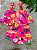 CONJUNTO BATA E BERMUDA MALHA UP BABY - TAM 1 AO 6 - Imagem 1