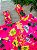 CONJUNTO BATA E BERMUDA MALHA UP BABY - TAM 1 AO 6 - Imagem 2