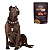 Ração Úmida GranPlus Gourmet Cão Adulto Salmão 100g - Imagem 3