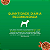 Ração Úmida Dog Chow Para Cães Adultos Carne 100g - Imagem 6