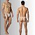 Calcinha Masculina Thong Micro fio dental em renda - Imagem 1