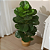 Ficus Lyrata Artificial Grande Planta Permanente Com 1.30cm Planta Realista - Imagem 3