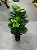 Ficus Lyrata Artificial Grande Planta Permanente Com 1.30cm Planta Realista - Imagem 6