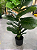 Ficus Lyrata Artificial Grande Planta Permanente Com 1.30cm Planta Realista - Imagem 9