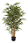 Bambu Artificial Tronco Natural Planta Grande Decoração Para Sala Com 1.80 Metros - Imagem 4