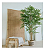 Bambu Artificial Tronco Natural Planta Grande Decoração Para Sala Com 1.80 Metros - Imagem 1