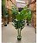 Planta Artificial Monstera Costela De Adão 1.20m Decoração Realista - Imagem 3
