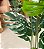 Planta Artificial Monstera Costela De Adão 1.20m Decoração Realista - Imagem 6