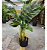 Planta Artificial Monstera Costela De Adão 1.20m Decoração Realista - Imagem 3