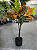 Planta Artificial Croton Arvore Permanente 1.20m Decoração Sala - Imagem 5