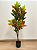Planta Artificial Croton Arvore Permanente 1.20m Decoração Sala - Imagem 6