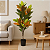 Planta Artificial Croton Arvore Permanente 1.20m Decoração Sala - Imagem 1