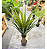 Planta Artificial Dracena 1.40m Toque Real Decoração - Imagem 3