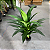 Planta Artificial Dracena Toque Real 1.40m Decoração Premium - Imagem 4