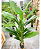 Bananeira Viajante Artificial Toque Real 2.10m Premium - Imagem 3