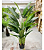 Bananeira Artificial Ornamental Premium 1,60 - Imagem 2