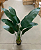 Bananeira Viajante Decoração Interna Premium 1.20m - Imagem 4