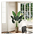 Bananeira Viajante Decoração Interna Premium 1.20m - Imagem 2