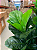 Ficus Lyrata Artificial Decoração Premium 1.20m Novo - Imagem 6